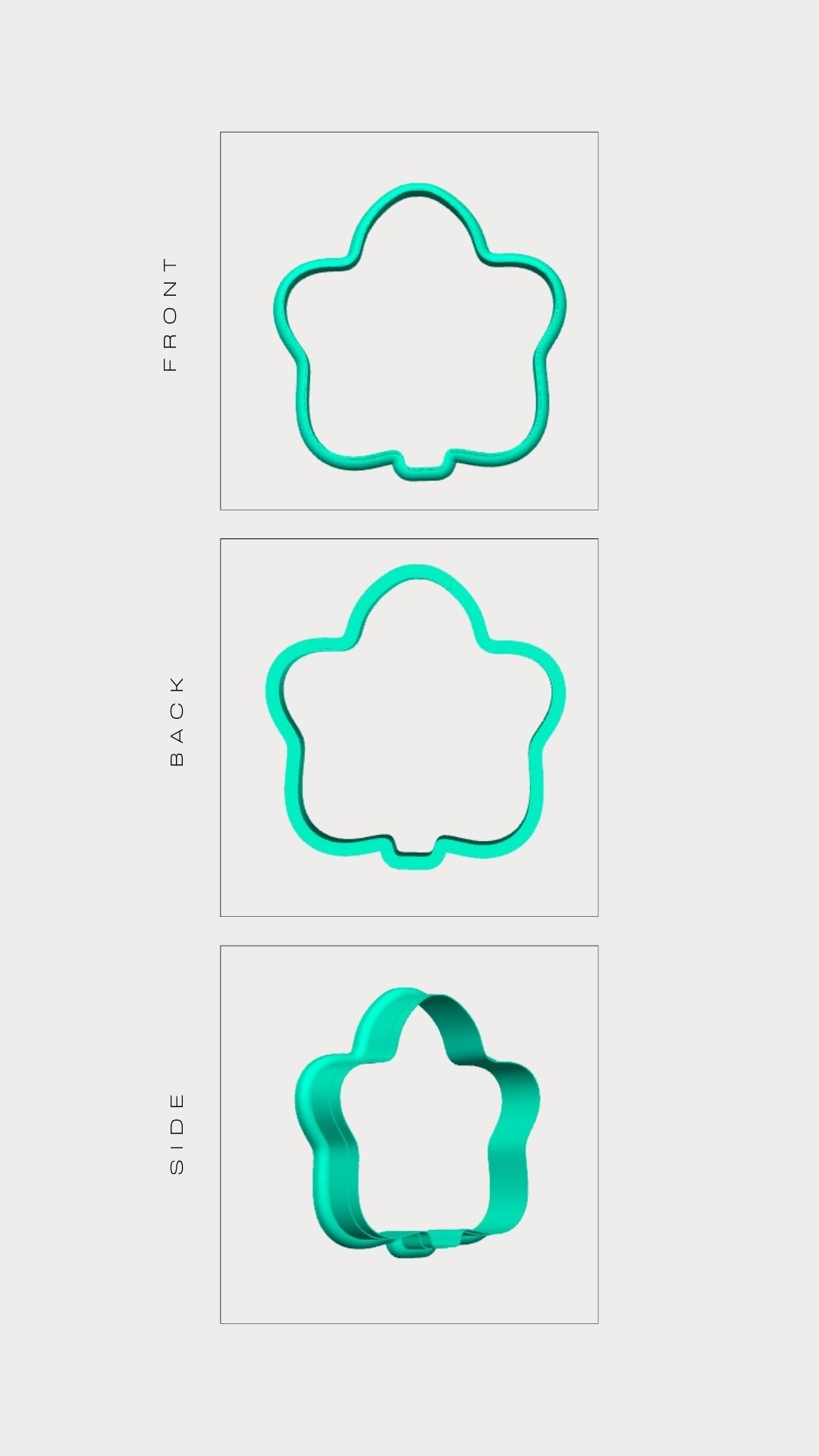 MAPPLE LEAF