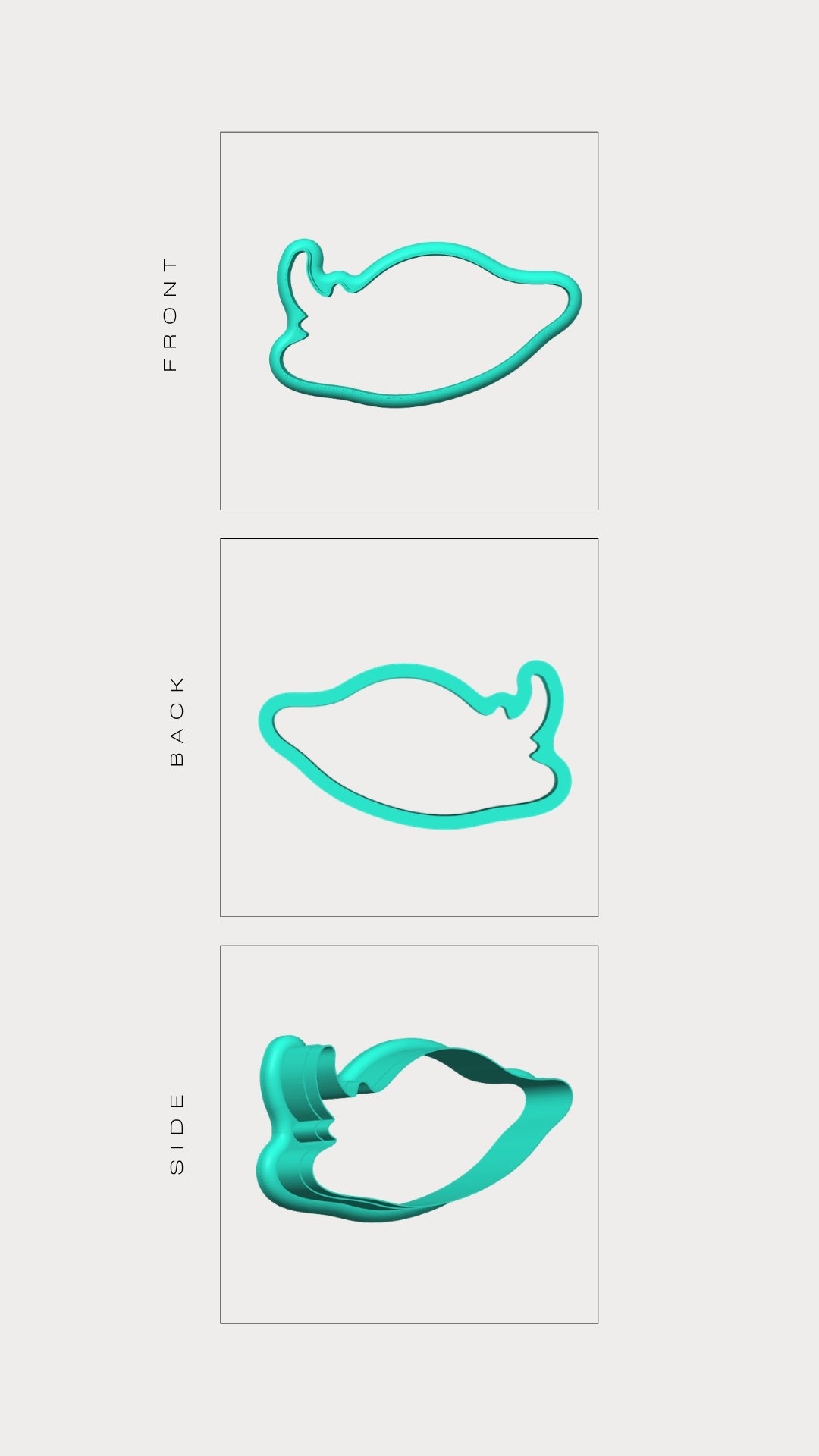 MANTA RAY