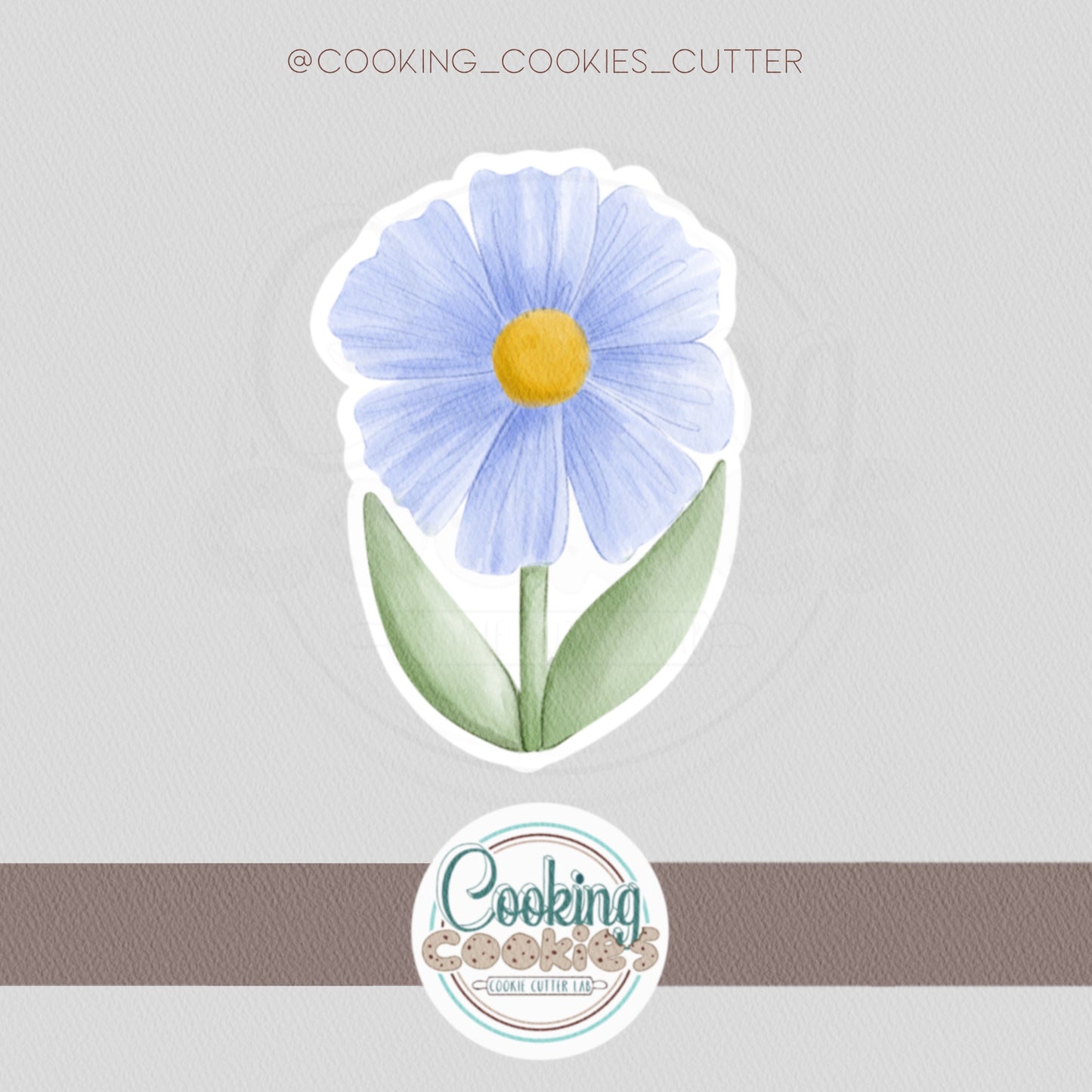 DAISY BLOOM