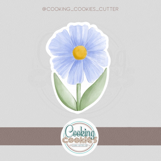 DAISY BLOOM