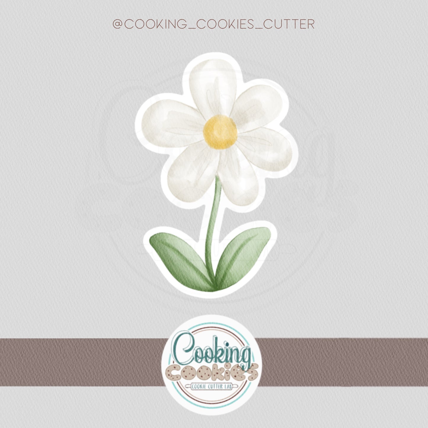 DAISY FLOWER