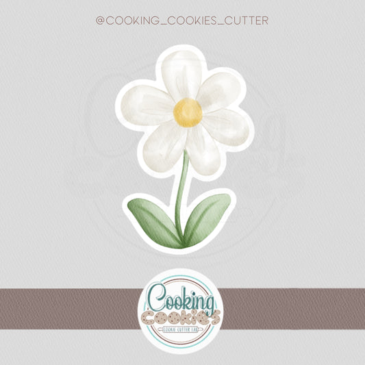 DAISY FLOWER