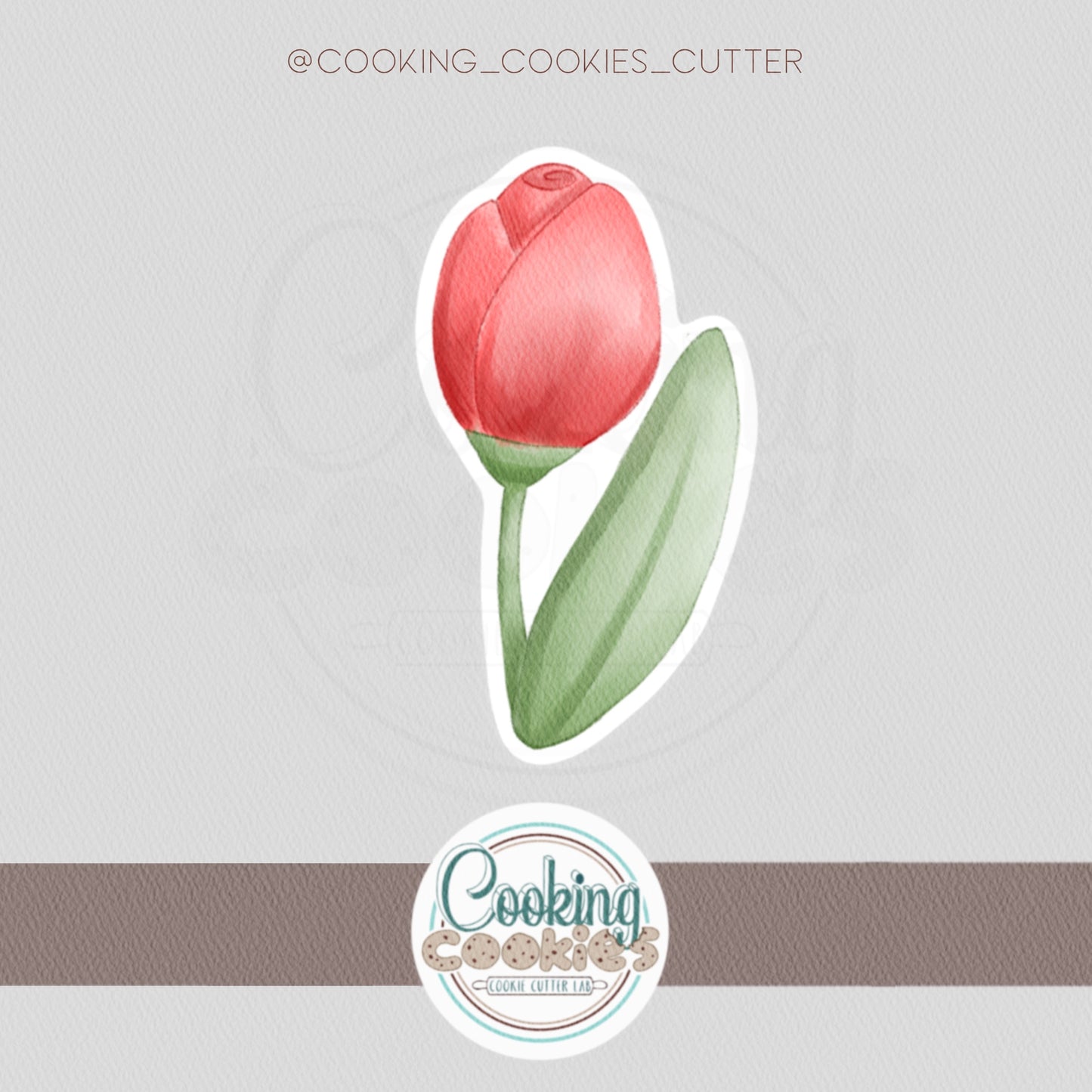 CLASSIC TULIP