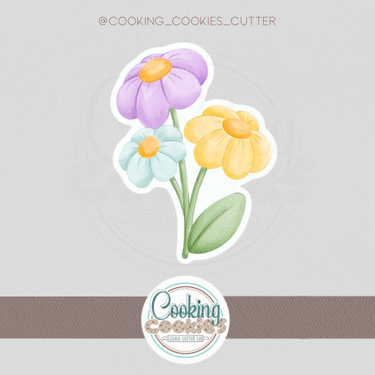 DAISIES