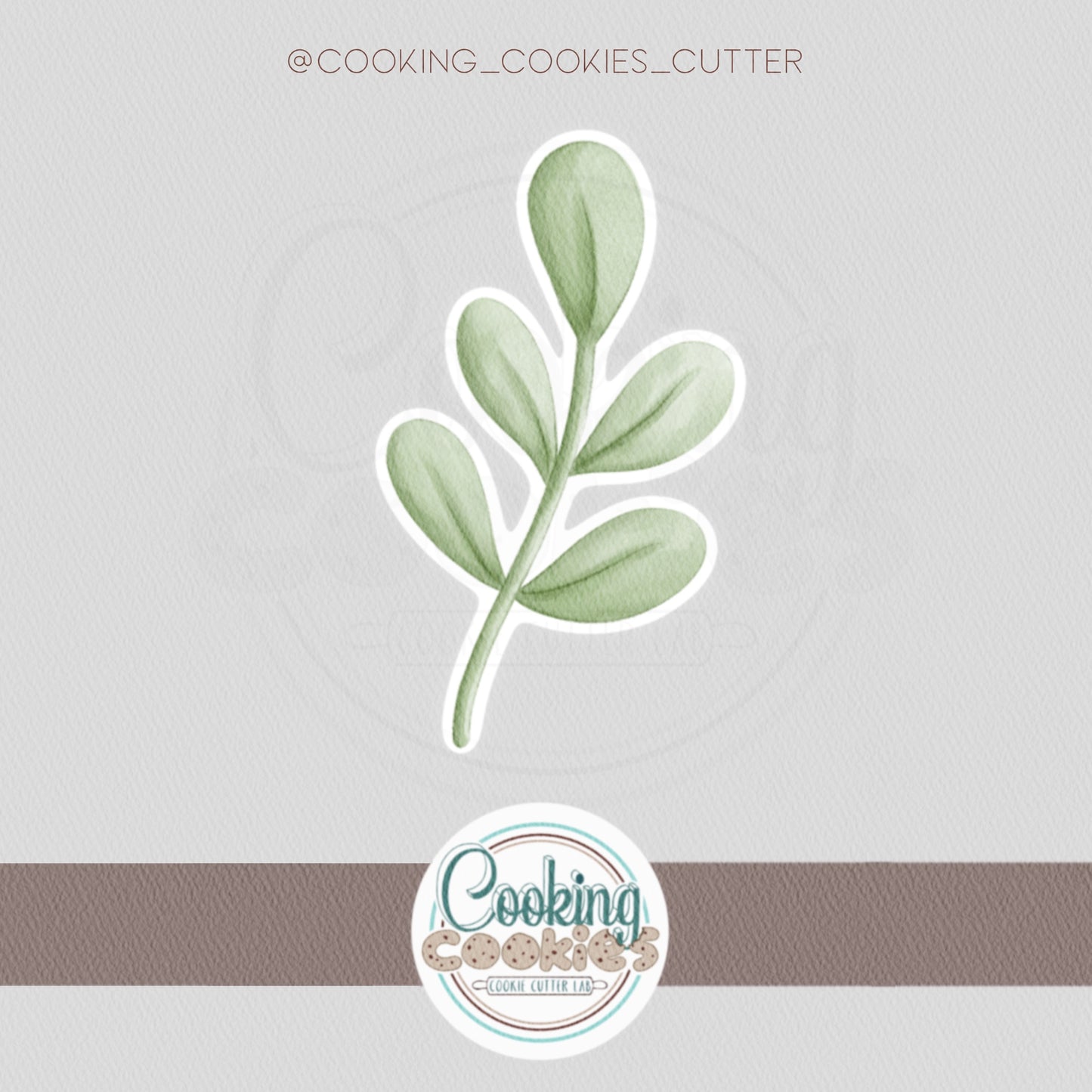 OLIVE BRANCH