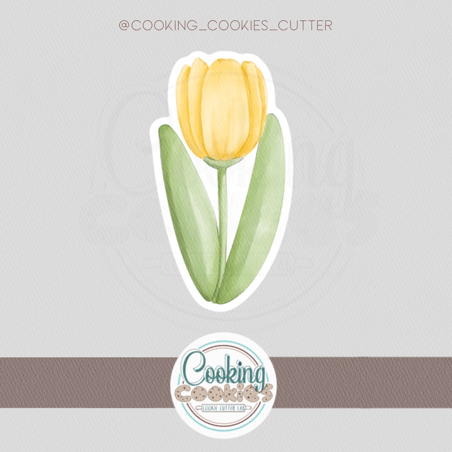 TULIP BLOOM