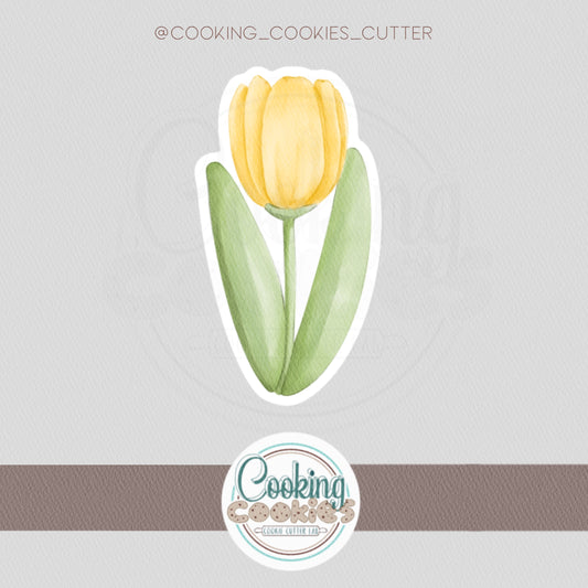 TULIP BLOOM
